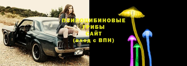 мяу мяу мука Абинск