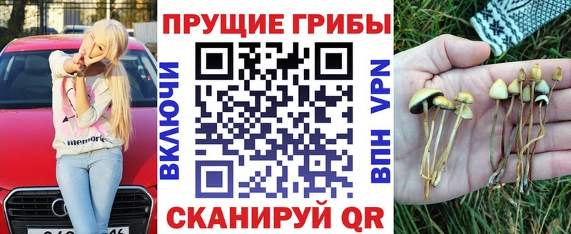 Псилоцибиновые грибы MAGIC MUSHROOMS  darknet официальный сайт  Никольское 
